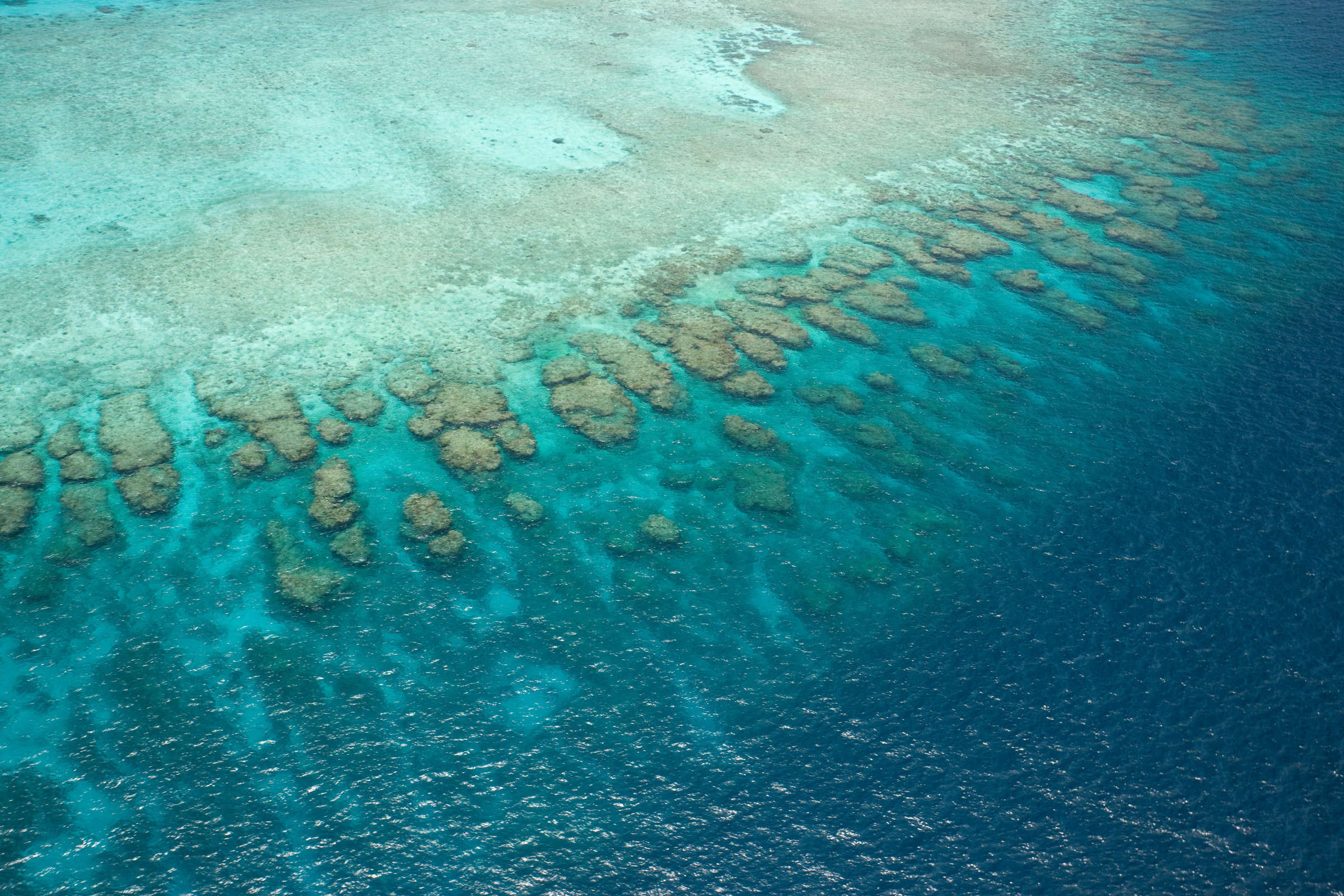 fergusson island, d'entrecasteaux islands (2).webp